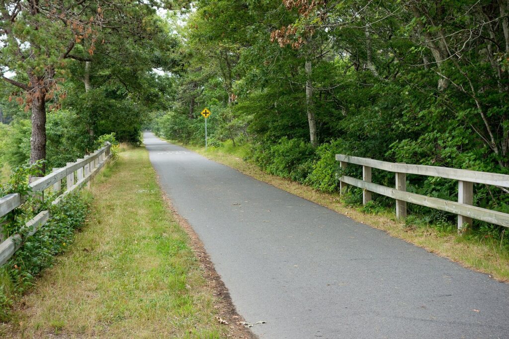 The paved Cape Cod Rail Trail running straight between wooden fences through pine and oak woods in Harwich