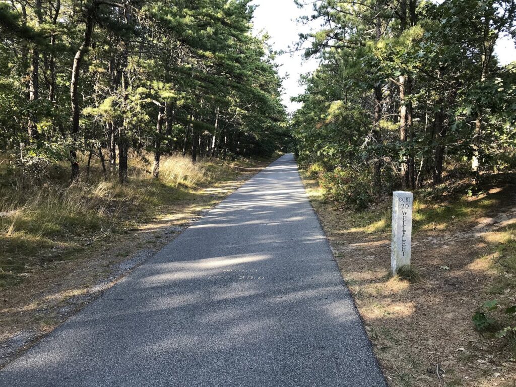 The paved Cape Cod Rail Trail running straight through pitch pines in South Wellfleet