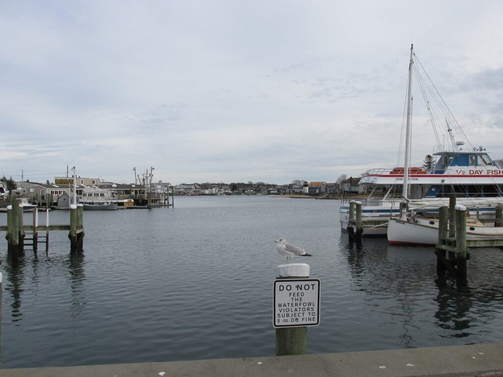Boats tied up in Hyannis Inner Harbor under a gray sky, with a gull on a piling