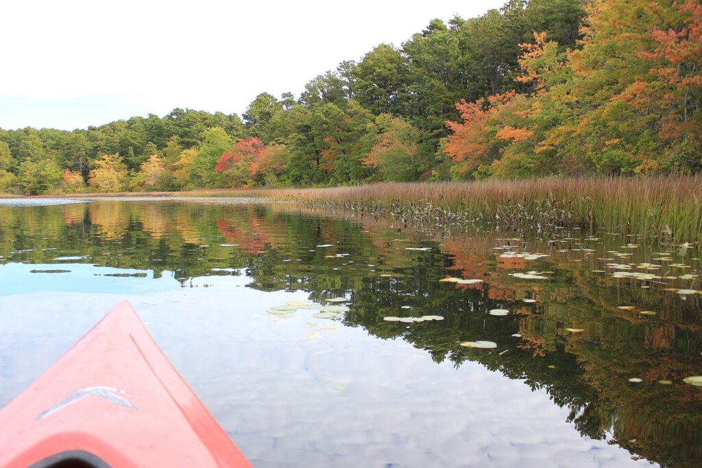 The red bow of a kayak on a still pond ringed by trees in fall color and dotted with lily pads