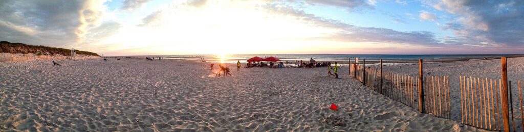 Wide view of Mayflower Beach in Dennis near sunset, with a snow fence and families on the sand