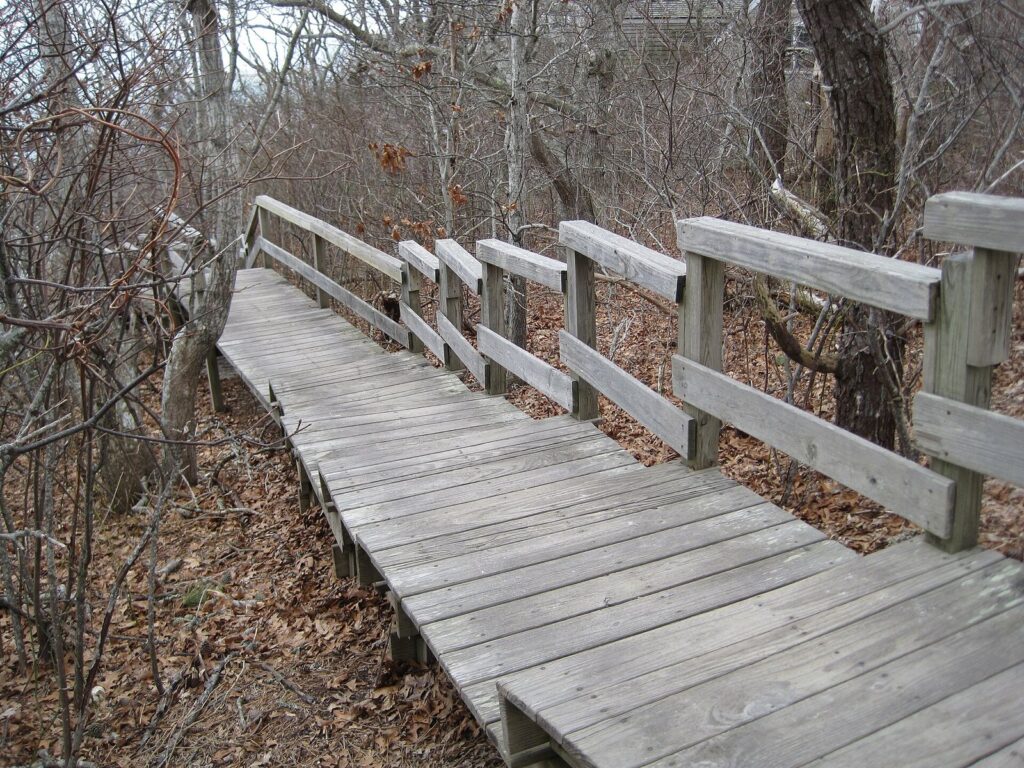 A wooden staircase with railings descending through bare scrub oak on the Morris Island Trail in Chatham