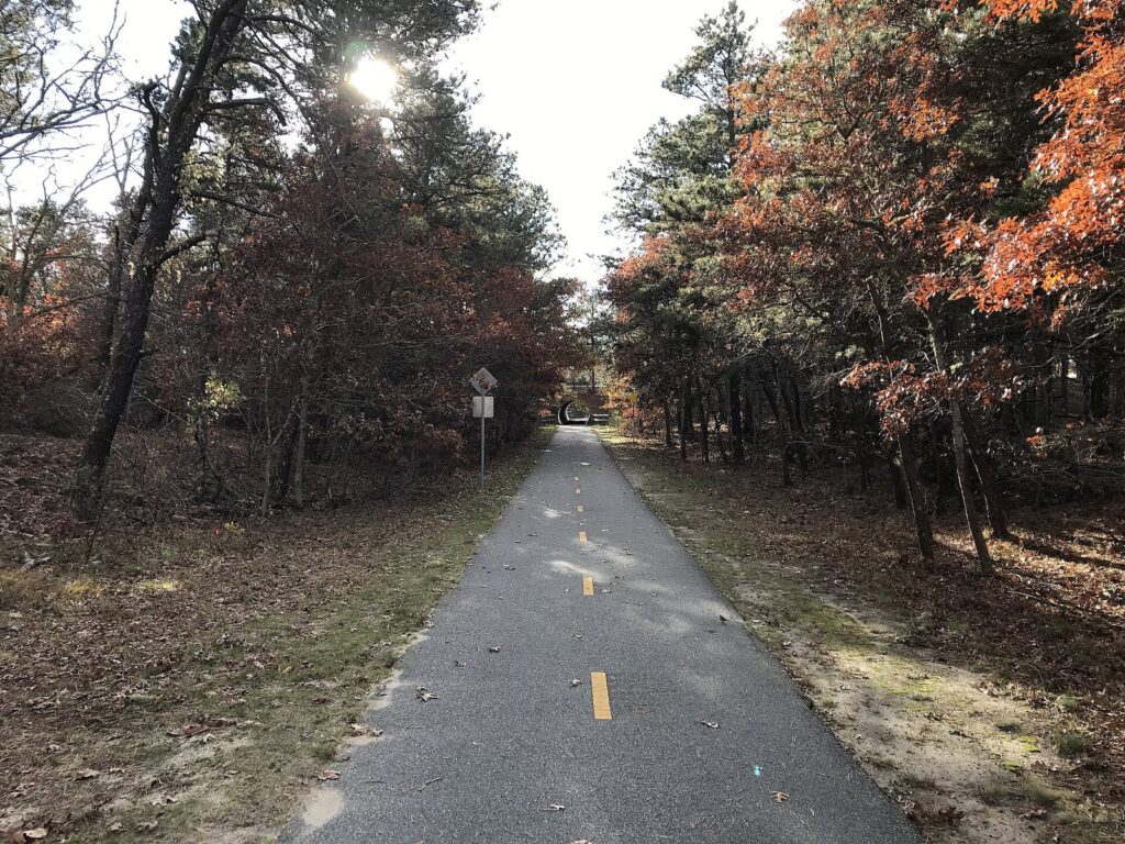 A paved rail trail running straight through oaks turning orange and brown in late fall in Harwich