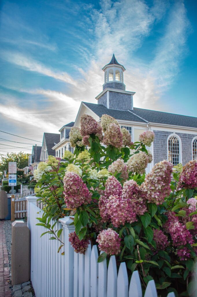 Pink hydrangeas along a white picket fence in front of a shingled church in Provincetown's East End