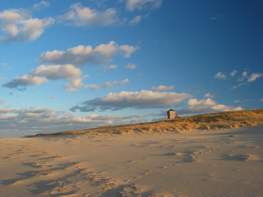 Low winter sun lighting the wide, empty sand and dune grass of Race Point Beach in Provincetown