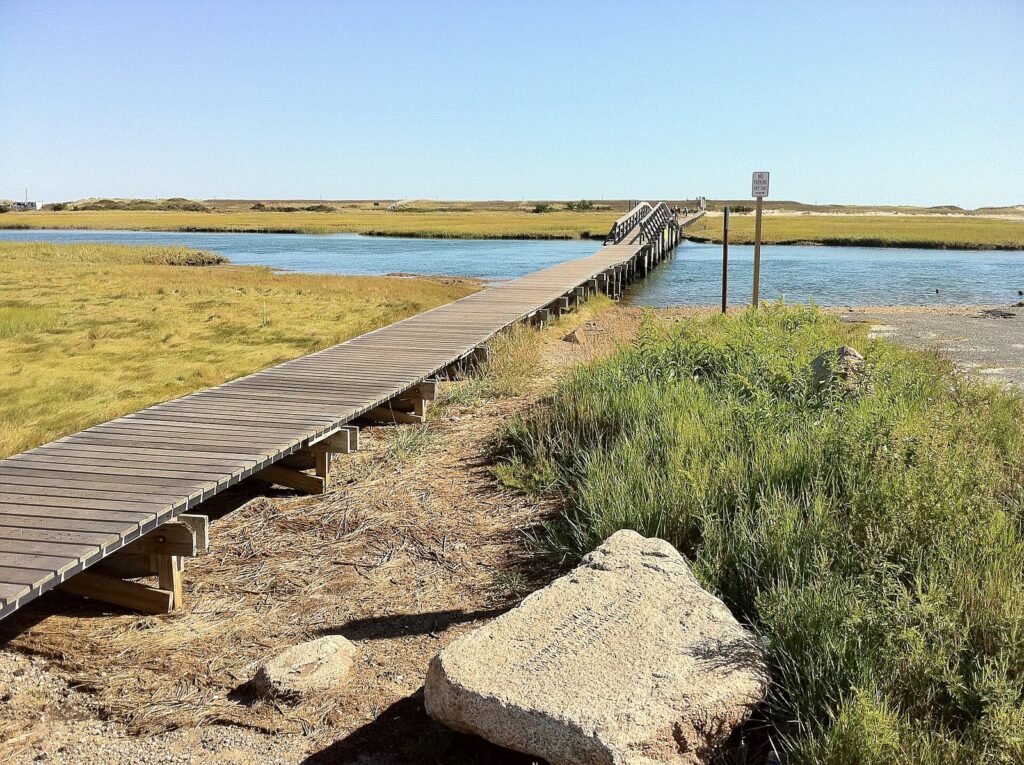 The wooden Sandwich Boardwalk crossing a salt marsh creek toward the dunes on a sunny day