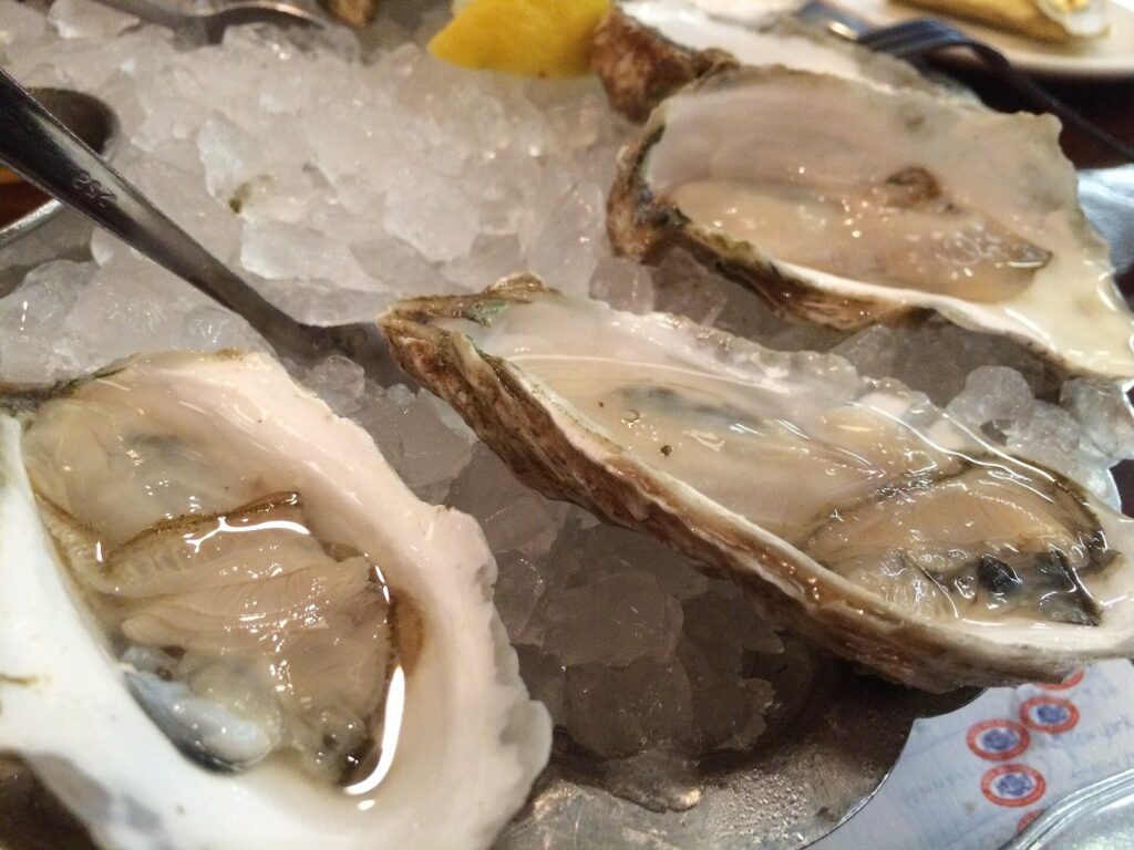 Freshly shucked Wellfleet oysters on crushed ice with a lemon wedge and an oyster fork